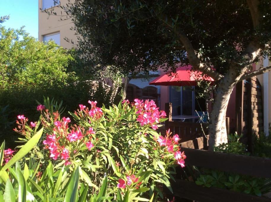 Cap Agde Studio-Cabine Jardin Clos, Port Et Plage Kültér fotó